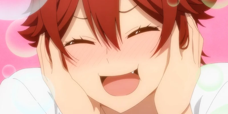 Tomo-Chan Is a Girl!: Tất Cả Về Sự Chân Thật
